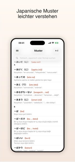 Japonca Screenshot mit japanischen Grammatikmustern